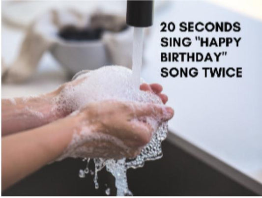 Wash Your Hands + How Soap Works - Pluff Mud Mercantile