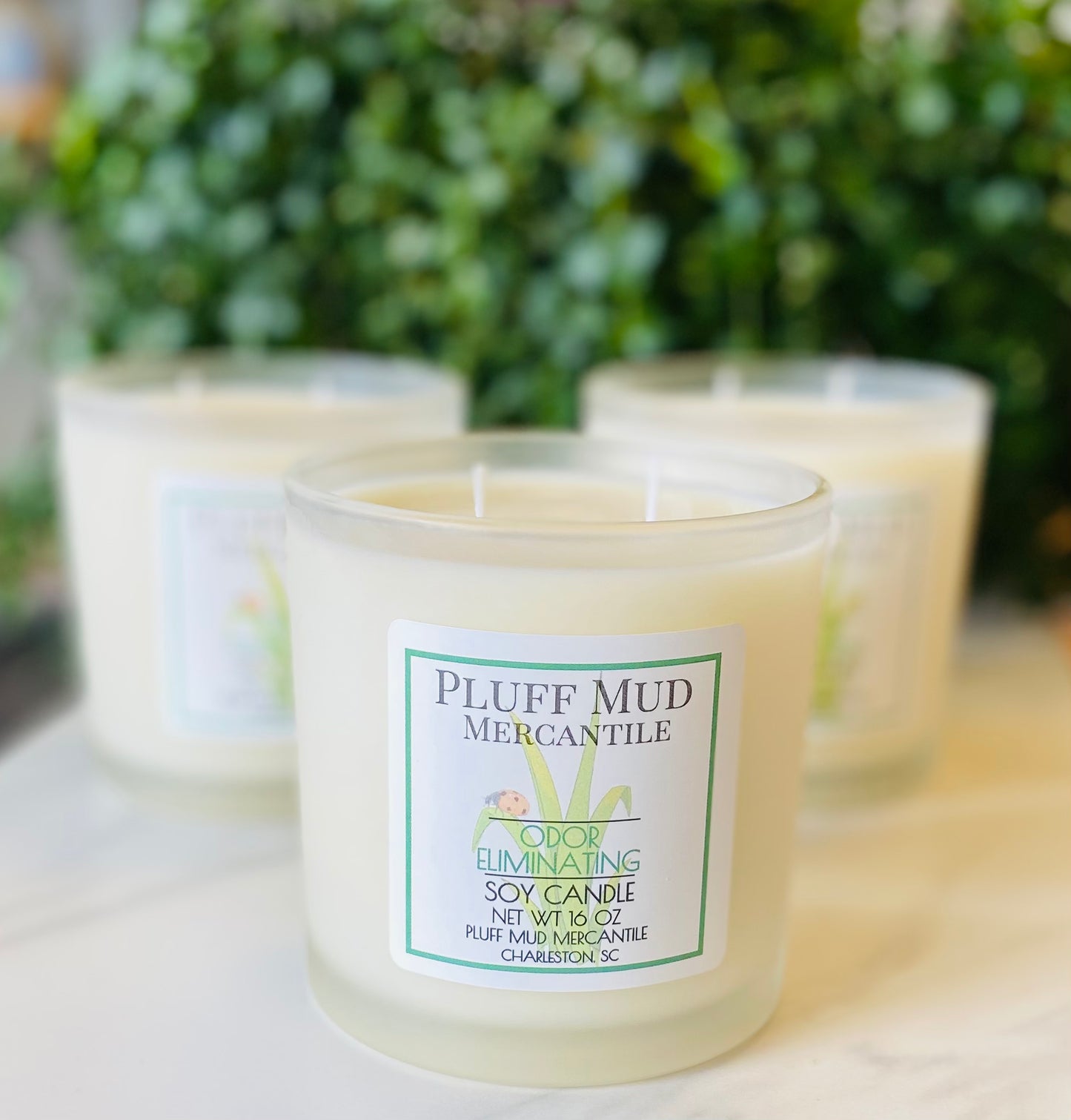 Odor Eliminating Essential Oil Blend Hand Poured Soy Candle - Pluff Mud Mercantile