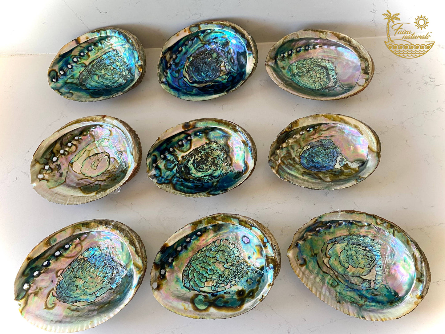 Abalone Shell Smudge Bowls (Large) - Pluff Mud Mercantile