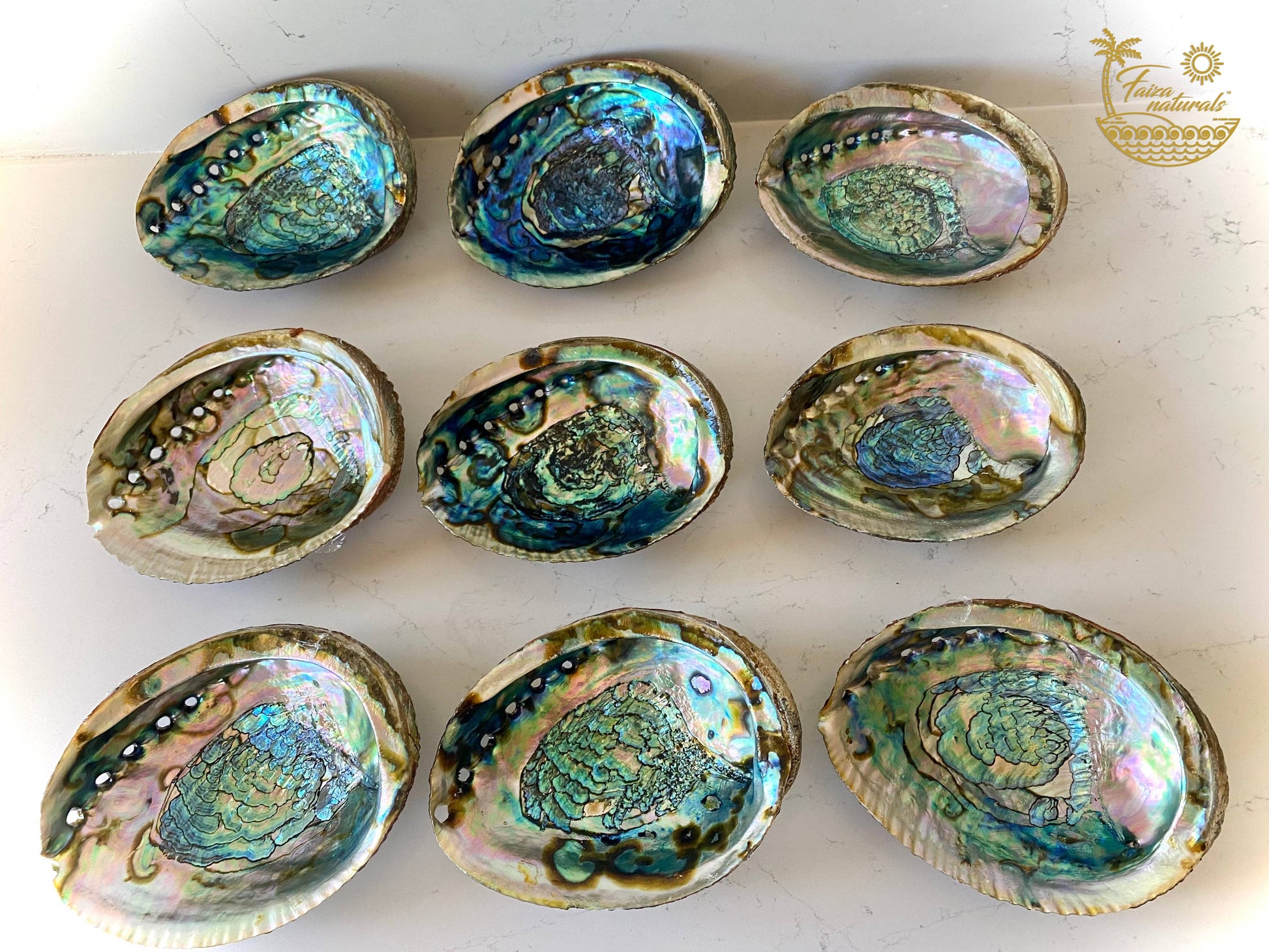 Abalone Shell Smudge Bowls (Large) - Pluff Mud Mercantile