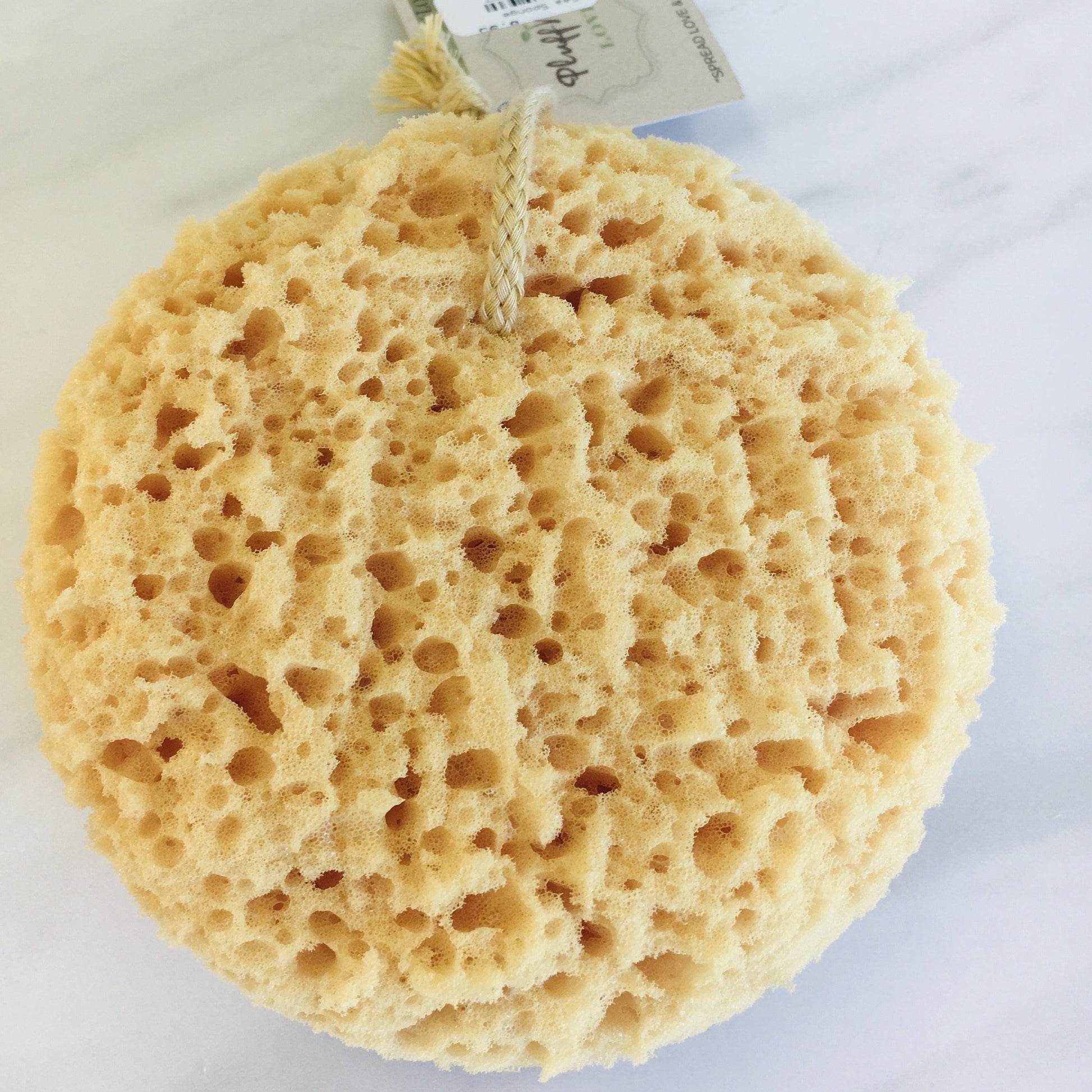 Natural Sea Sponge - Pluff Mud Mercantile